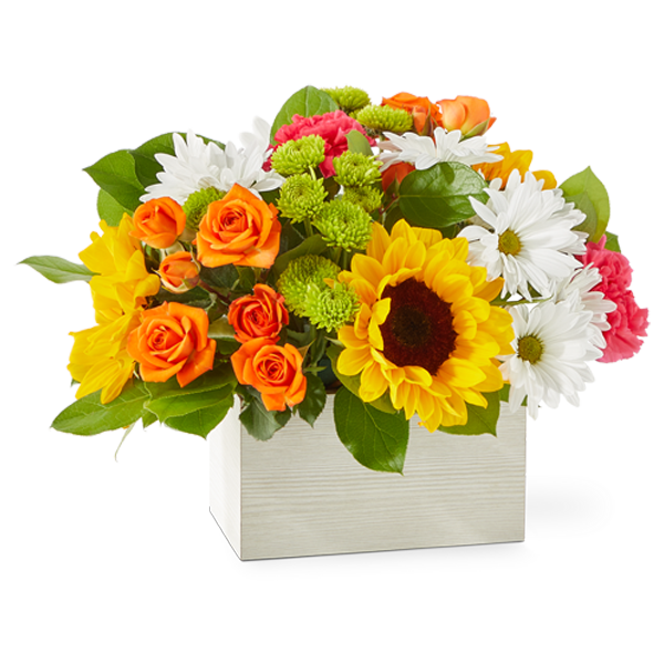 Sun-drenched Blooms Bouquet - Deluxe