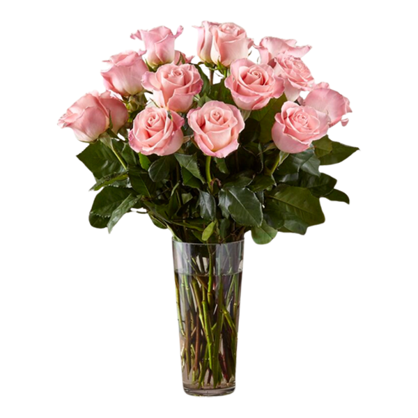 The FTD Long Stem Pink Rose Bouquet - Deluxe