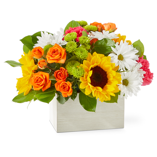 Sun-drenched Blooms Bouquet - Deluxe
