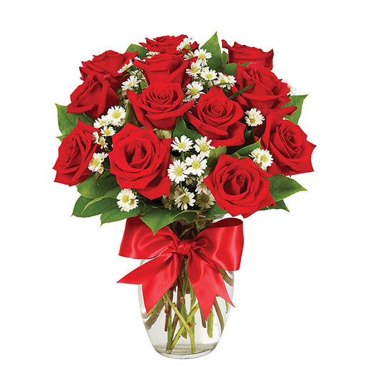 1 Dozen Roses - Red