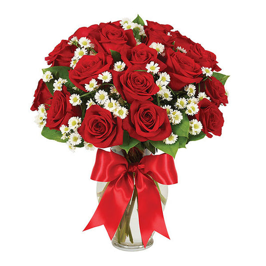 2 Dozen Roses - Red