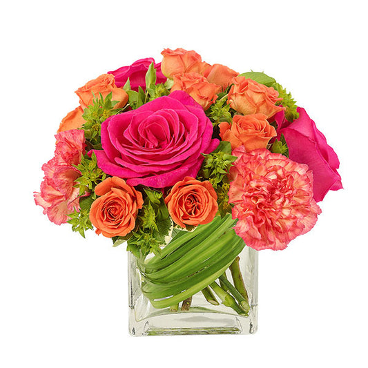 Magnificent Blooms Cube