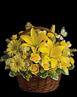 Basket Full of Wishes