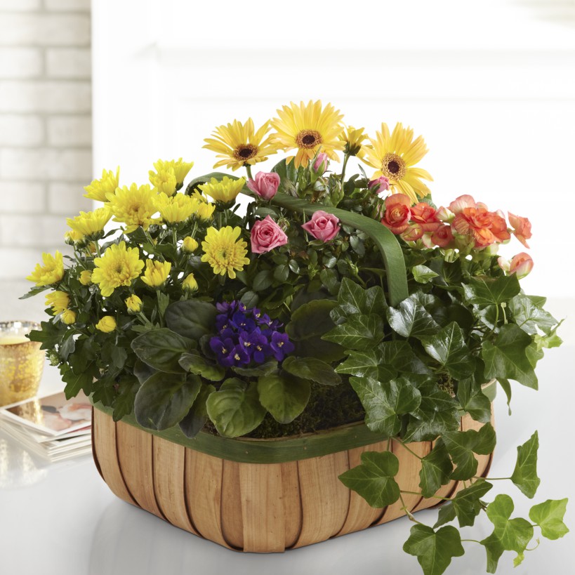 Gentle Blossoms Basket